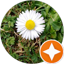 Rita A. profile picture