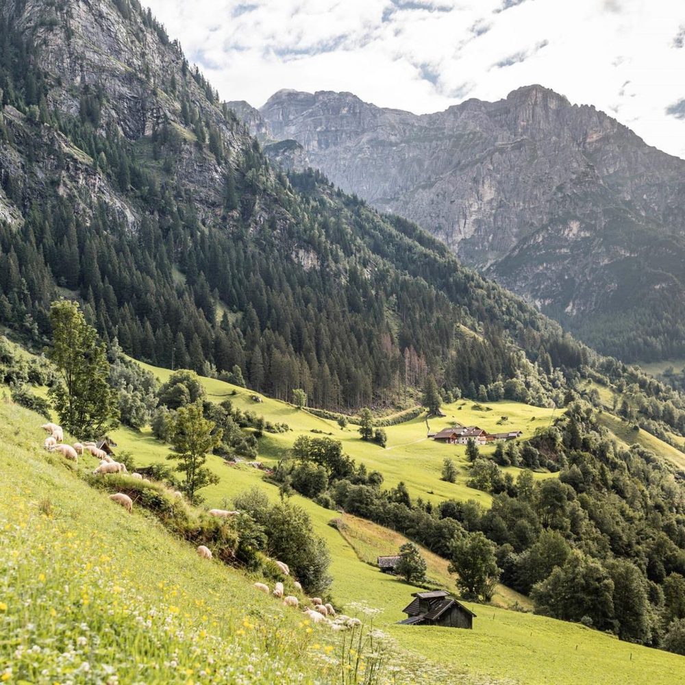 pension-wiesenhof-suedtirol-wipptal-pfulters-freienfeld-sterzing-urlaub-mountainbike-familienurlaub-zimmer-halbpension-skigebiet-rodelbahn (2)