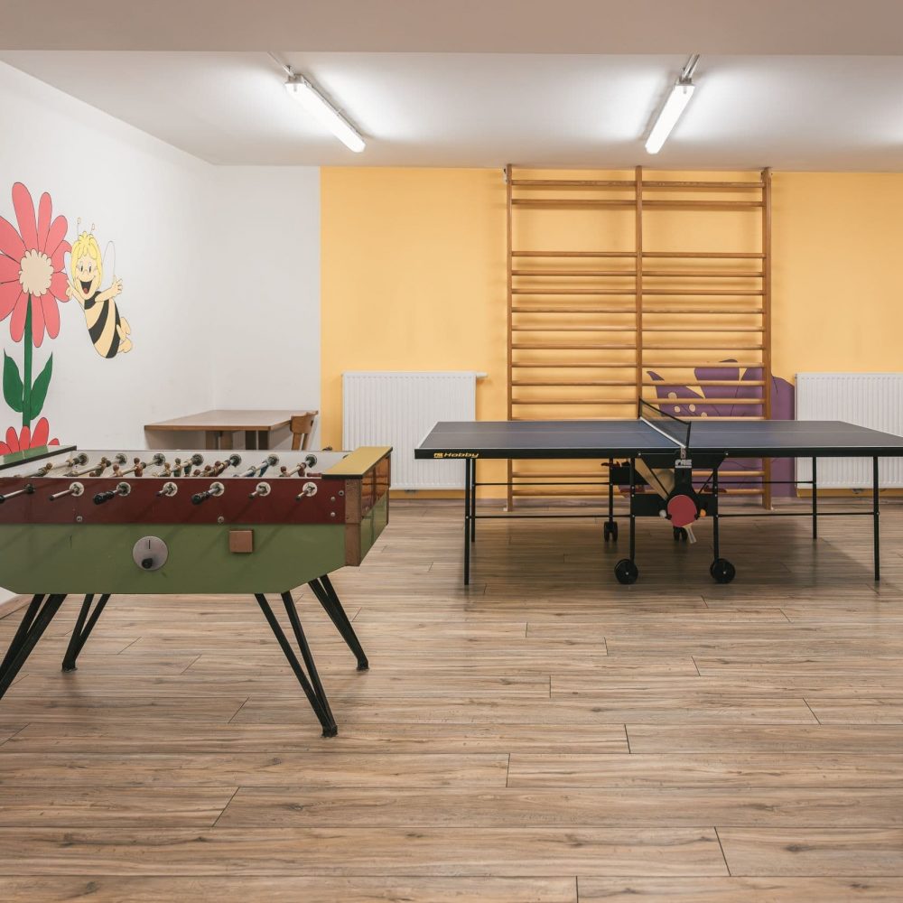 pension-wiesenhof-suedtirol-wipptal-pfulters-freienfeld-sterzing-urlaub-mountainbike-familienurlaub-zimmer-halbpension-skigebiet-rodelbahn (48)